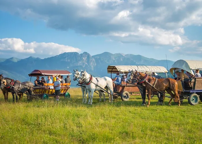 U Perełki Nocleg ze śniadaniem 3*